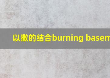 以撒的结合burning basement